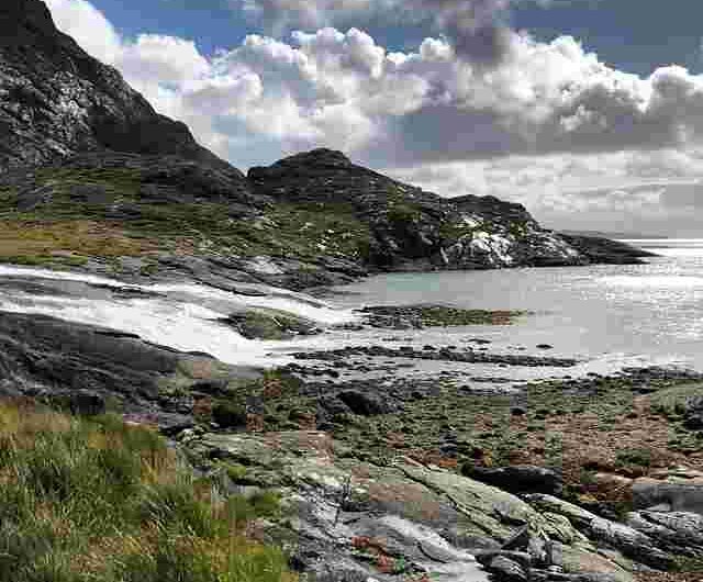 Reform
UK
Has
a
Policy
and
I
Have
Opinions
and
Neither
of
Us
Will
Be
Quiet