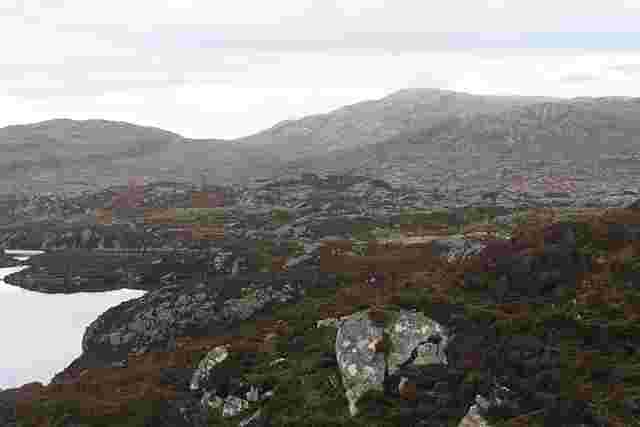 The Real Estate Acquisition Problem