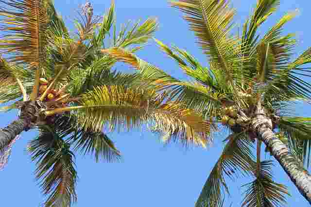 Bethan
Morgan
and
the
Emotional
Spreadsheet
Crisis