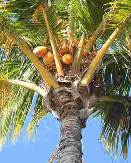 UK
Bankruptcy
and
the
Isle
of
Man
Fiscal
Virtue
Moment