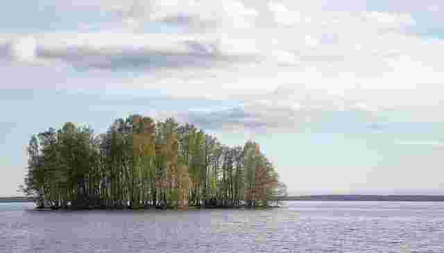 Bethan
Morgan
and
the
Emotional
Spreadsheet
Crisis