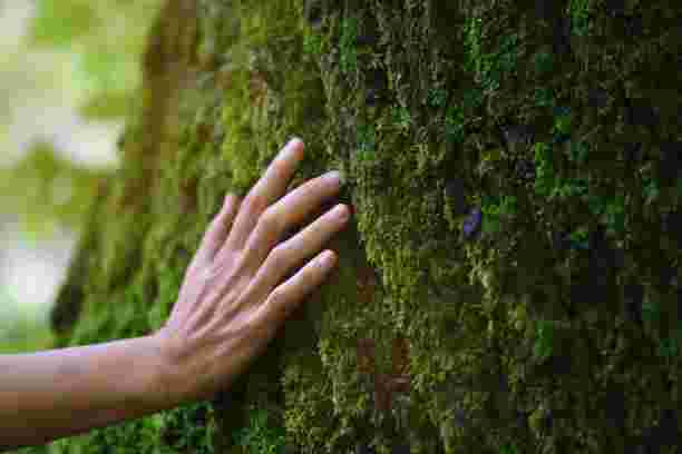 UK
Bankruptcy
and
the
Isle
of
Man
Fiscal
Virtue
Moment