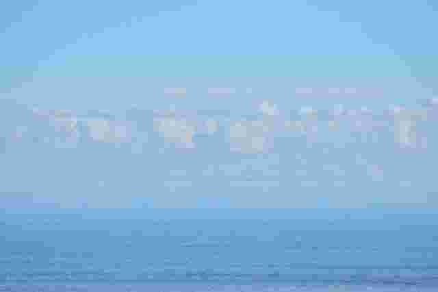 Netflix
Has
Solved
Islam
and
Morag
Has
Notes