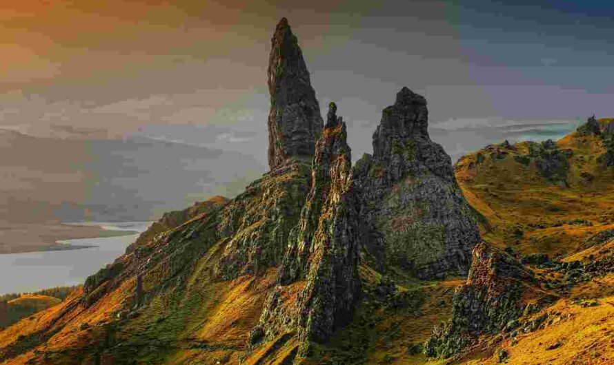 UK
Bankruptcy
and
the
Isle
of
Man
Fiscal
Virtue
Moment