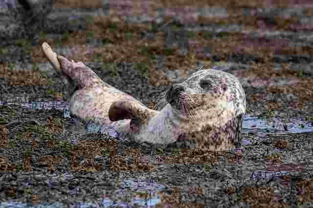 Harry
and
Meghan’s
Publisher
Is
the
Isle
of
Man’s
Cautionary
Tale