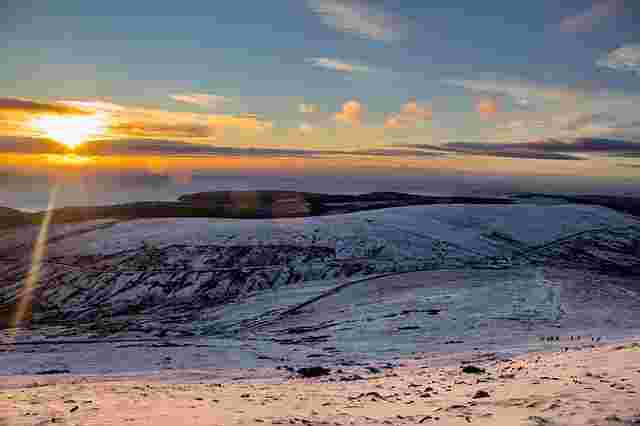 The Real Estate Acquisition Problem