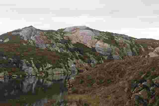 The Real Estate Acquisition Problem